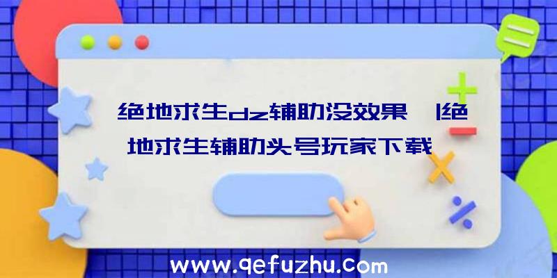 「绝地求生dz辅助没效果」|绝地求生辅助头号玩家下载